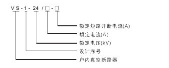 VS1-24真空断路器型号含义说明